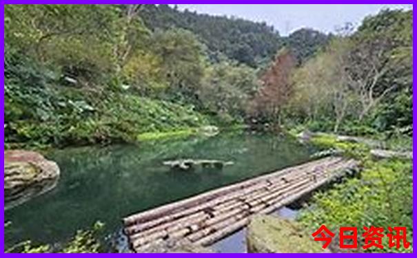 小孩旅游去哪里好玩